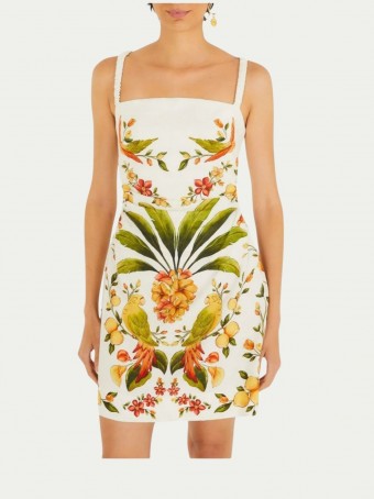 Vestido Curto Bosque Chic