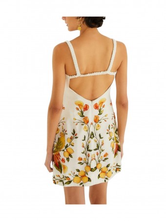 Vestido Curto Bosque Chic
